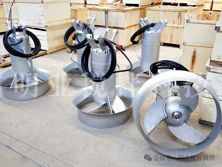 9921724029039687.jpg 微信圖片_20240819085555.jpg